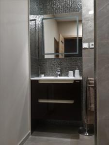 蒂米什瓦拉Irina Apartments的一间带水槽和镜子的浴室