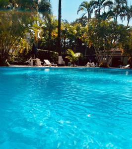 博西坎加Boiçucanga Completo à Beira Mar的一个带椅子和棕榈树的大型蓝色游泳池