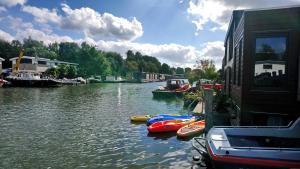 阿姆斯特丹维根伯斯船屋的一条河,在水中划船,靠近一座建筑