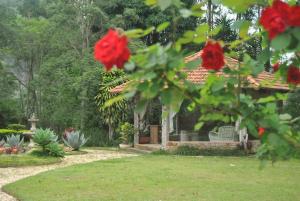 伊泰帕瓦Pousada Quinta dos Pássaros Itaipava的花园中种满红色花的长椅房子