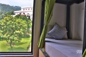 瑞诗凯诗Blue Jay Hostel Rishikesh的享有树景的窗户