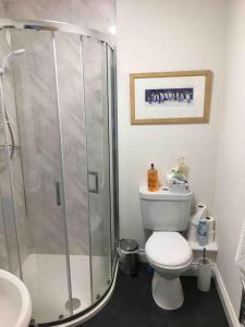 格拉斯顿伯里Littlemead - Newly renovated private studio near Glastonbury的带淋浴、卫生间和盥洗盆的浴室