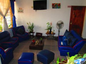 莱蒂西亚Hotel Huito的客厅配有蓝色的沙发和平面电视。