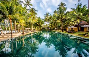象岛半岛海滩度假村的度假村的游泳池拥有棕榈树和遮阳伞