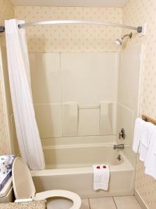 哈姆登惠特尼宾馆及套房的带浴缸、卫生间和淋浴的浴室。