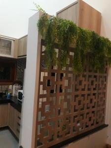 MartinsVivendas da Serra Chalés的厨房里挂着植物的墙