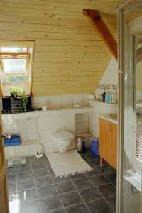 BenkenBed & Breakfast Im Chellhof的木制天花板上带卫生间的浴室