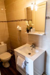 卢瓦尔河畔叙利亨利四世酒店的一间带水槽、卫生间和镜子的浴室