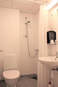 伊卢利萨特Hotel Nuka的一间带卫生间和水槽的浴室