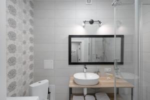 基辅Comfort House的一间带水槽、卫生间和镜子的浴室