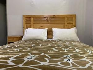 吉尔吉特Naveed Tourist Inn的一间卧室配有带2个枕头的床