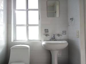 克雷塔罗Milenio III B&B的一间带水槽和卫生间的浴室以及窗户。