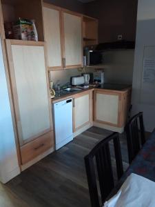 GundolsheimGîte De La Ferme的小厨房配有白色橱柜和白色冰箱
