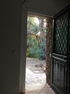 古维亚Alexandra villas的享有庭院景致的开放式门