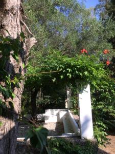 古维亚Alexandra villas的树旁的白色长凳上种着鲜花