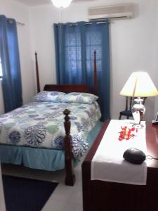 拿骚Gillys Dream的一间卧室配有一张带蓝色窗帘的床和一张桌子