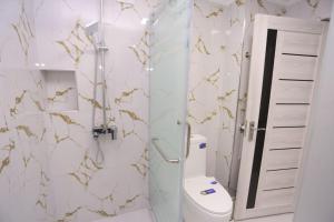 撒马尔罕Luxury 2 bedrooms apartment walking distance from Gur-Emir的一间带卫生间和玻璃淋浴间的浴室