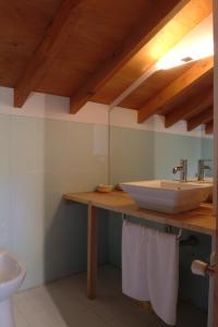 阿拉力兹卡萨比拉沃阿乡村民宿的一间带水槽和卫生间的浴室