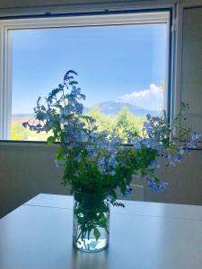莫塔·圣塔纳斯塔西亚La Finestra Sull'Etna的窗前桌子上一个花瓶,上面有蓝色的花朵
