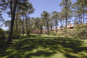 CarcereiroAroeira Golf - Beach House的绿树成荫的院子和背景建筑