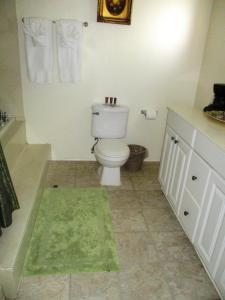弗吉尼亚城弗吉尼亚城酒店的一间带卫生间和绿色地毯的浴室