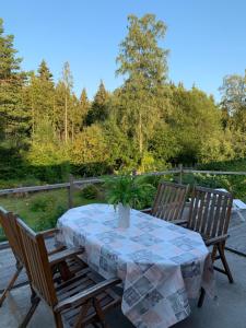 科斯塔Cozy house in Kosta center surrounding with Swedish nature的天井上摆放着盆栽的桌子