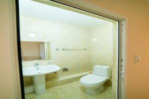 阿拉木图224的一间带卫生间、水槽和镜子的浴室
