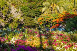 迪亚尼海滩迪亚尼海度假村 - 全包 的满布五颜六色花卉的花园