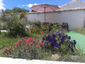 Picón欧列塔尼旅馆的一座花园,花园内种有五颜六色的鲜花,配有雨伞