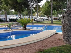 阿尔比尔Camping La Colina的树园中的游泳池