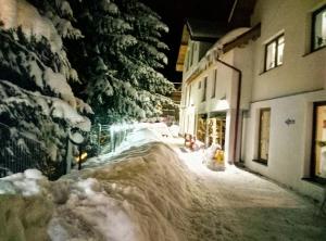 珀尔蒂尼什Pensiunea Aria Paltinis的一条雪覆盖的街道,晚上有楼房和树木