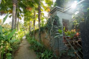苏卡瓦提罗雅妮别墅的一条通往棕榈树房屋的路径