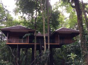 考索考索自然度假酒店的森林中的一个树屋