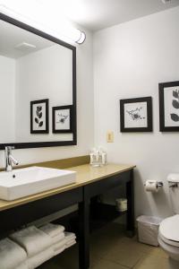 斯特灵卡尔森华盛顿杜勒斯机场江山旅馆&套房的一间带水槽和镜子的浴室