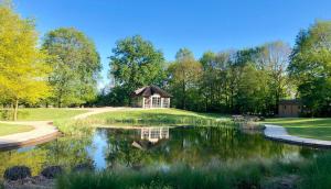 布鲁克赫伊曾Het Hilkensberg Park的公园内一个带凉亭的大池塘