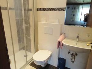 瓦德林Bommerhof的浴室配有卫生间、淋浴和盥洗盆。