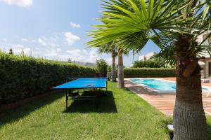 皮吉Aria Villas, modern paradise, By ThinkVilla的棕榈树旁边的一张蓝色乒乓球桌