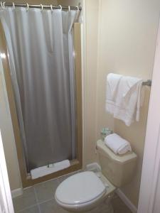 Honesdale韦恩酒店 的带淋浴和卫生间的白色浴室