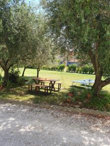 里米尼casa in campagna alle porte di Rimini 3min fiera 3 min mare的树木繁茂的公园里野餐桌和长凳