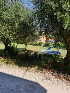 里米尼casa in campagna alle porte di Rimini 3min fiera 3 min mare的树丛公园里的野餐桌和长凳