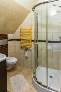 下乌斯奇基Noclegi u Kiesza的带淋浴和卫生间的浴室