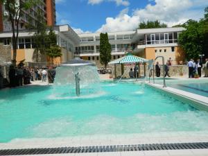 百乐费利克斯特美尔酒店的建筑物前泳池中的喷泉