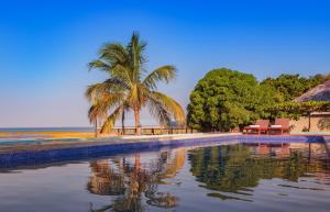 SengaBlue Waters by Serendib的棕榈树和海滩的度假游泳池