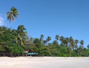 博拉科特Mutiara Beach Resort的相册照片