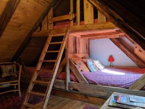 奥尔西埃布瓦斯德鲁赫酒店的一间卧室配有带梯子的双层床