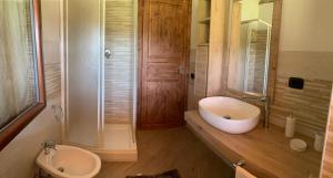 奥尔泰La casetta的一间带水槽、卫生间和淋浴的浴室