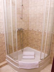 克雷尼察索克利卡度假屋酒店的浴室配有淋浴和毛巾