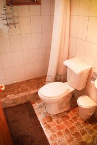 柯纳里佩Cabanas L'ESCALE的一间带卫生间和淋浴帘的浴室