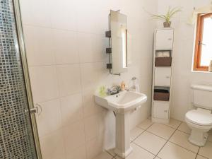 基拉尼Oak Tree Lodge的白色的浴室设有水槽和卫生间。