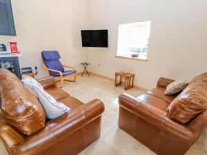 莫尔德The Loft的客厅配有两张真皮沙发和一台电视机